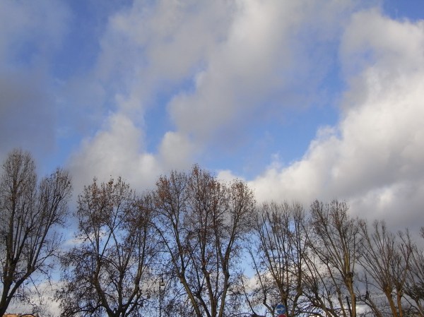 Diálogo de nubes y arboles en Roma.Foto R.Puig