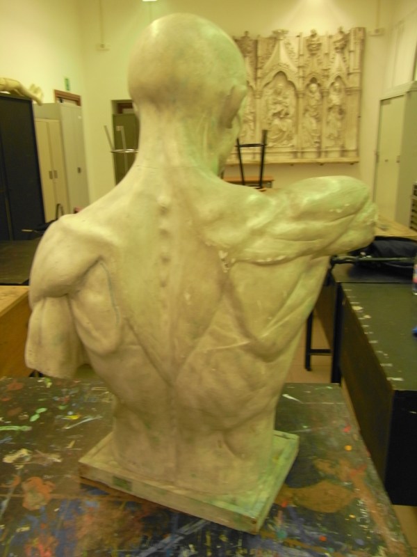 Decorticato. Accademia di Belle Arti. Roma.Foto R.Puig. (3)