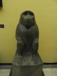 Museos Capitolinos- Roma. Foto R.Puig