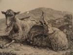 Johann Christian Reinhart, Grabado&nbsp;pastoril