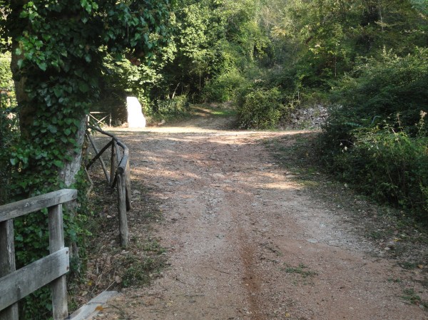 Desde el camino Foto R.Puig