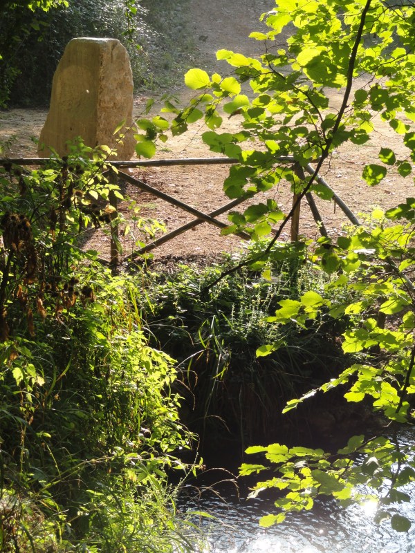 Laa piedra sueña, foto R.Puig