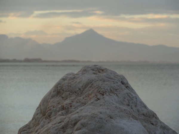 Playa de La Almadrava. Els Poblets. Foto R.Puig