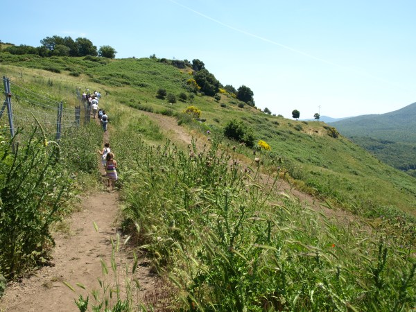 Subida a las ruinas de la fortaleza. Tusculum Foto R.Puig