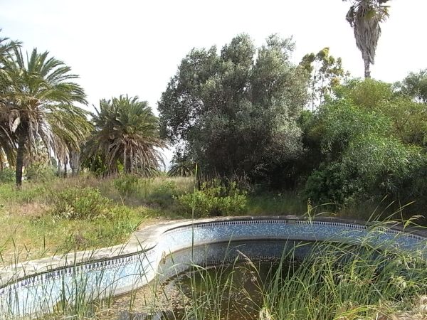 El reino de las ranas.Foto R.Puig