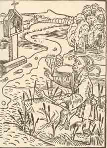 Grabado atribuido a Durero en Sebastian Brant La Nave de los locos. El peregrino