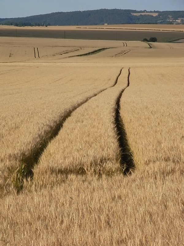 Hacia Vézelay.Foto R.Puig.
