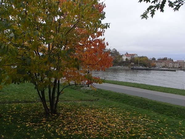Sörhallsberget. Gotemburgo.Foto Puig