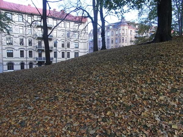 Vasaparken Gotemburgo.Foto Puig