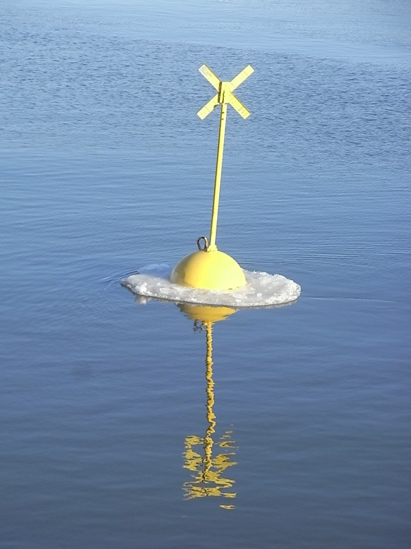 Estrella flotante. Foto R.Puig