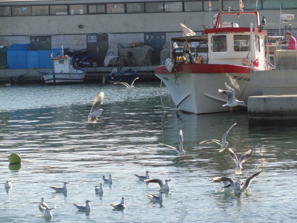 Denia. Enero 2013.Barco de pesca al amarre. Foto R.Puig.