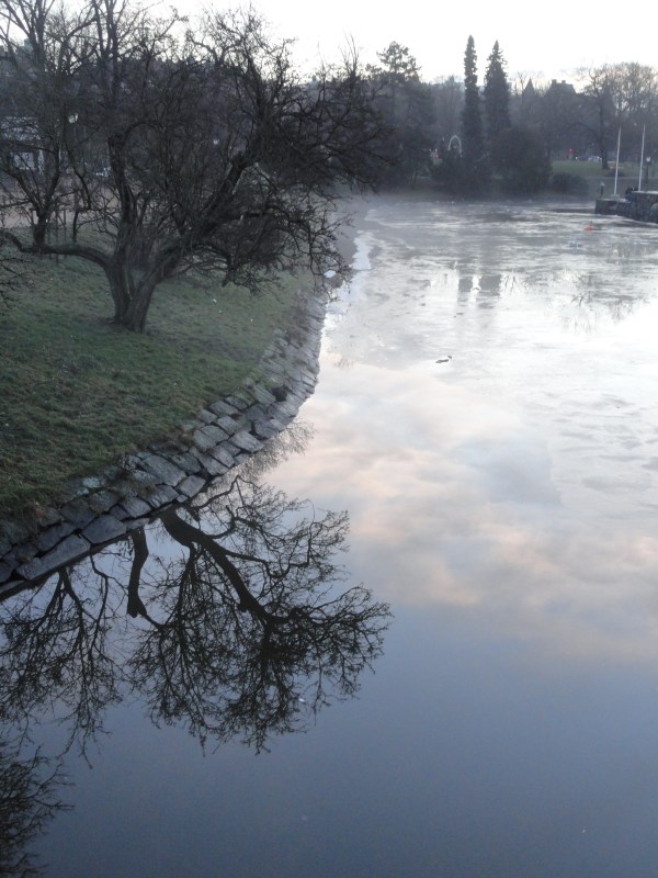 Gotemburgo 4 enero del 2013.Foto R.Puig