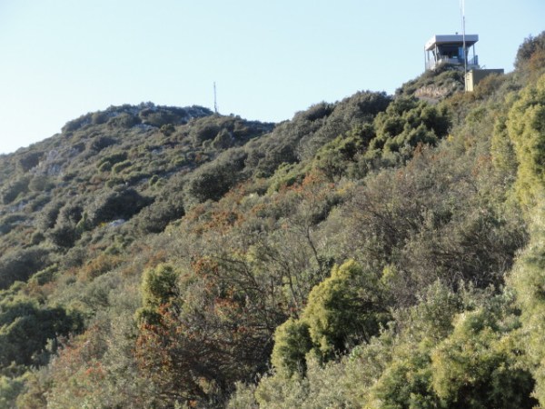 Subiendo a la sierra del Cocoll. Torreta forestal.Foto R.Puig