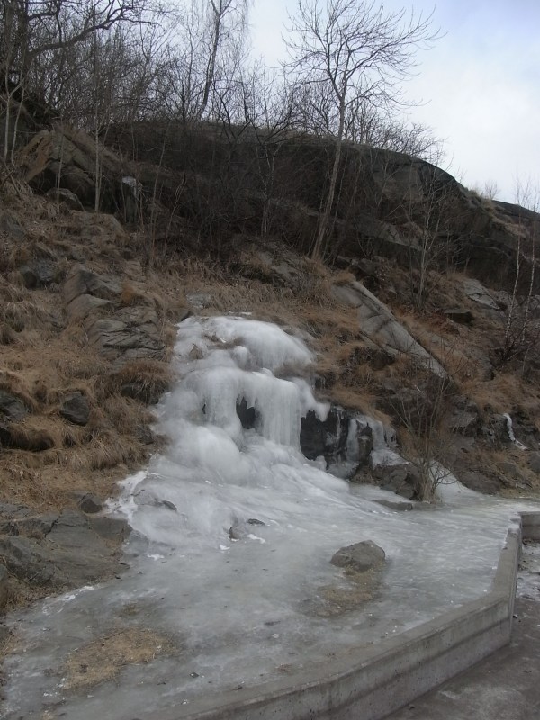 Las barbas del troll. Foto R.Puig