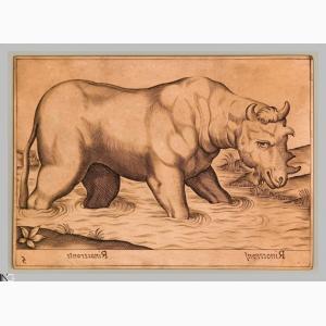 Tempesta Rinoceronte africano. Grabado en 1620 por De Rossi. 
