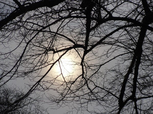 Cielo de Viernes Santo en Gotemburgo.Foto R.Puig