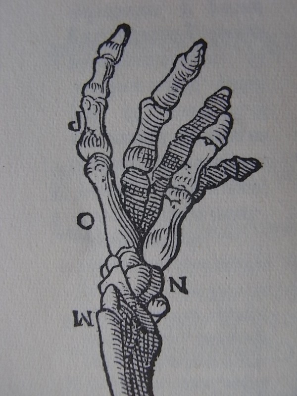 Vesalius en Tabulae Anatomicae.Culture et civilisation. Bruxelles 1965