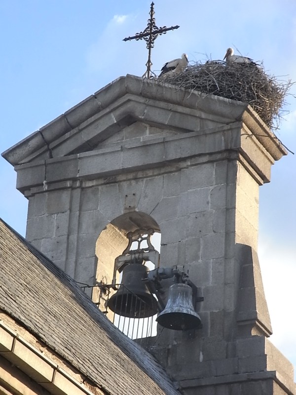 Cigueñas de Guadarrama. Foto R.Puig