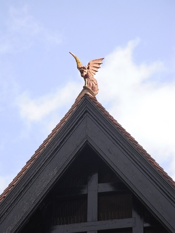El dragón del tejado.Leicester. Foto R.Puig