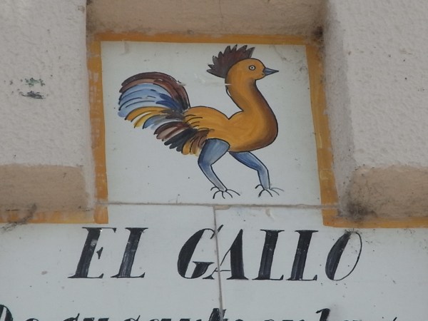 El gallo de la Pasion. Sueca. Foto R.Puig.