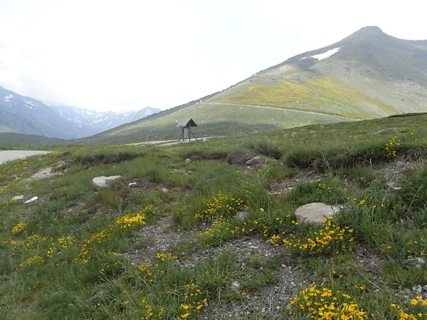 En el Col de Puymorens. Foto.R.Puig