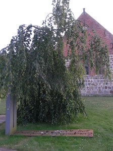 Monumento a los muertos de todas las guerras. Dotlingen. Foto R.Puig.
