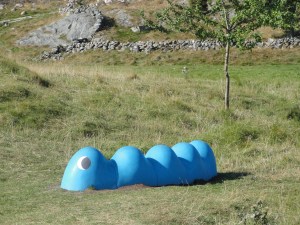 Caterpillar. Per Agelii. Pilane. Foto R.Puig.