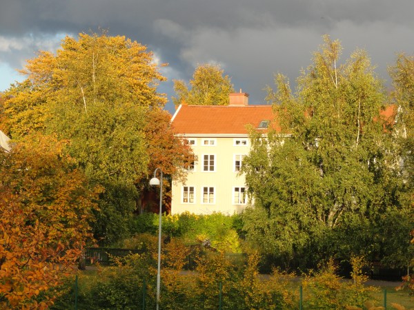 Otoño desde mi ventana. Foto R.Puig