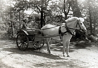 Astrid Petzäll y su caballo blanco en Råda Säteri.