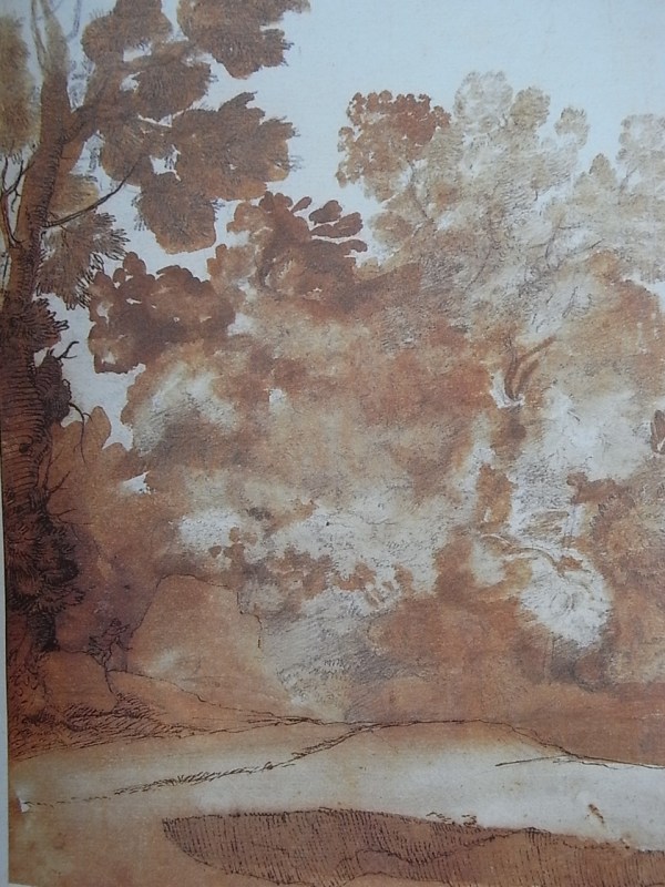 Claude Lorrain. Estudio de arboles