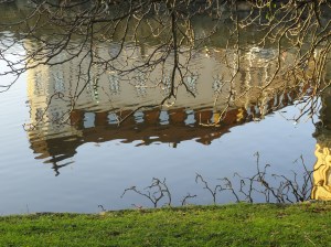 Reflejos.Trädgårdforening.Foto R.Puig.