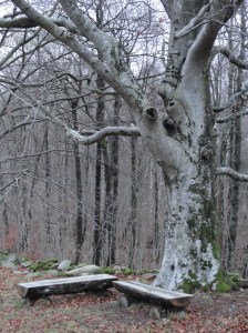 Rincón de reposo. Råda Säteri.Foto R.Puig.