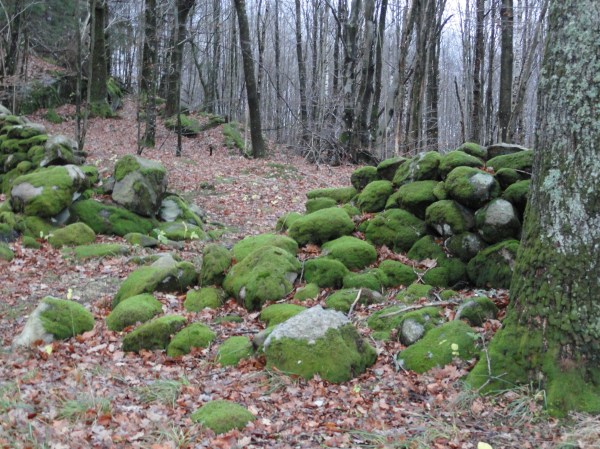 Viejos muros.Råda Säteri.Foto R.Puig.