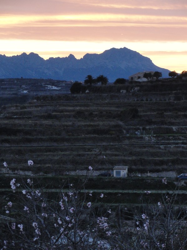 Primeras flores de los almendros de Benitatxell. Foto R.Puig