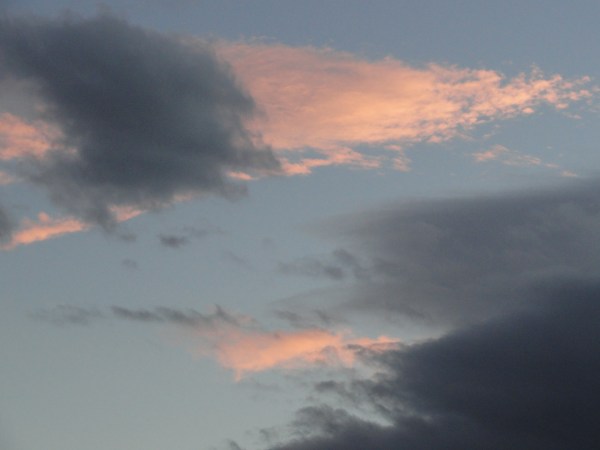 Musicas. Foto R.Puig