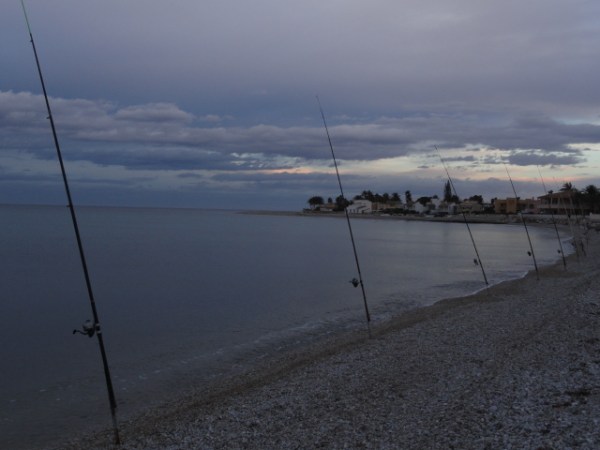 Olvidos. Foto R.Puig