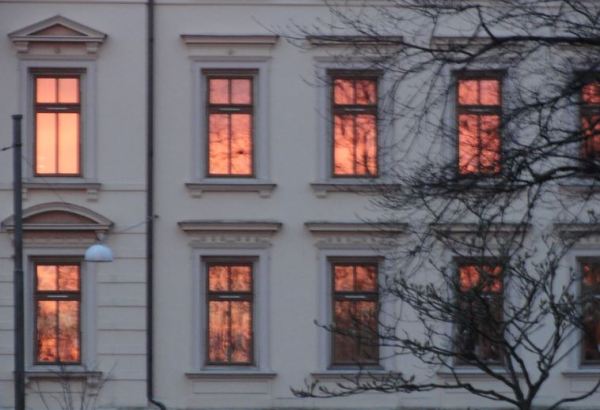 Atardecer con brotes. Foto R.Puig