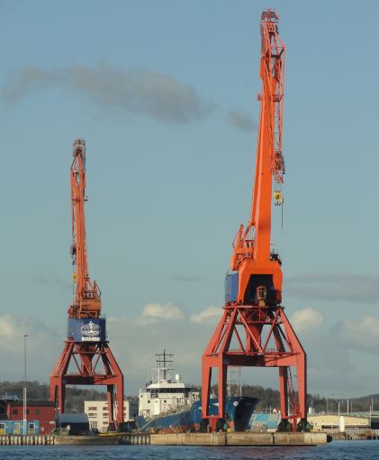 Jirafas en Gotemburgo. Foto R.Puig
