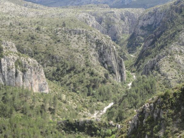 Barranco la Junquera. Foto R.Puig