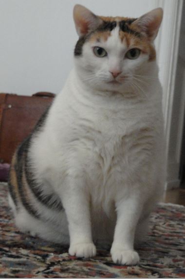 Mi mama me mima. Foto R.Puig