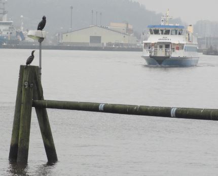 Regulamos el trafico. Foto R.Puig