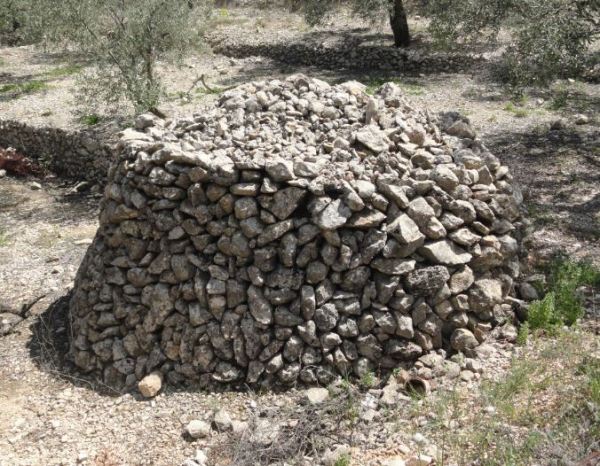 Tumulo entre bancales. Foto R.Puig