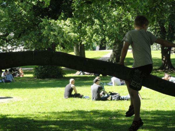 En el parque cualquier sitio es bueno. Foto R.Puig