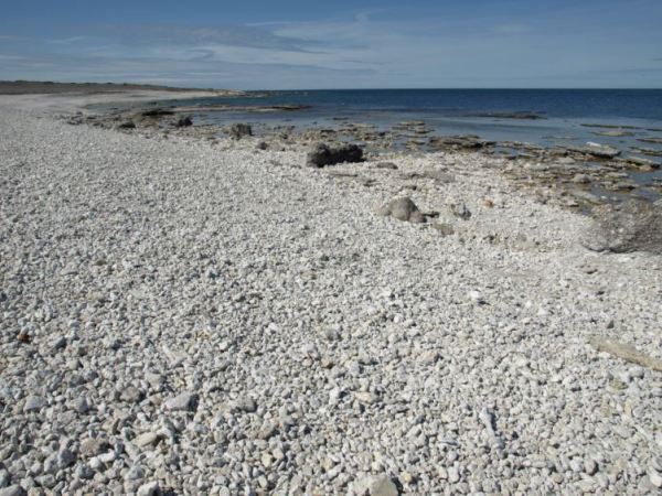 Costa noroeste de Gotland. Foto R.Puig.