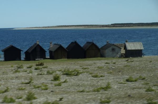 En la orilla. Norte de Gotland.  Foto R.Puig
