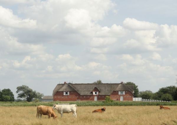 El hostal de Seebüll Hof o granja de Hülltoft. Foto R.Puig