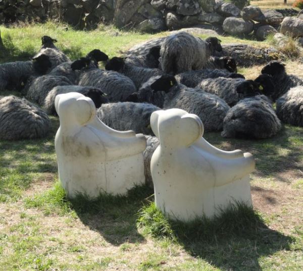 Ovejas junto a las sillas elefante de Ylva Kullenberg.Suecia. Pilane 2014. Foto R.Puig