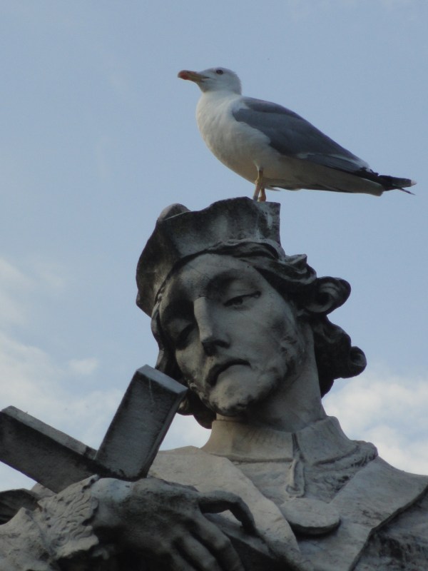 San Juan Nepomuceno reposos de palomas en Ponte Milvio. Foto R.Puig