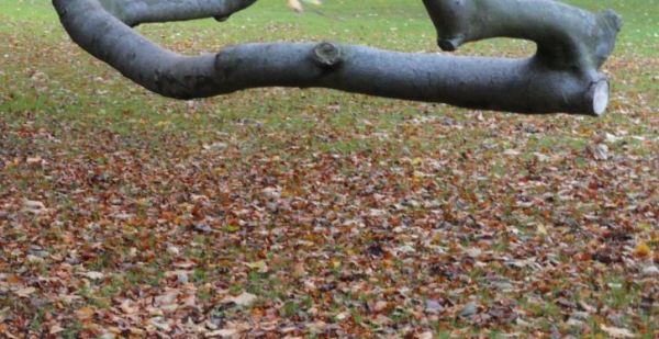Capricho del viento.  Foto R.Puig