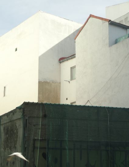 El patio trasero. Foto R.Puig